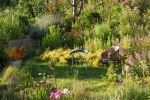 Der Garten – Natur und Portrait